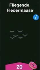 Fliegende Fledermaeuse