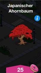 Japanischer Ahornbaum