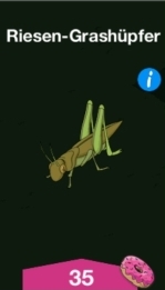 Riesen Grashuepfer